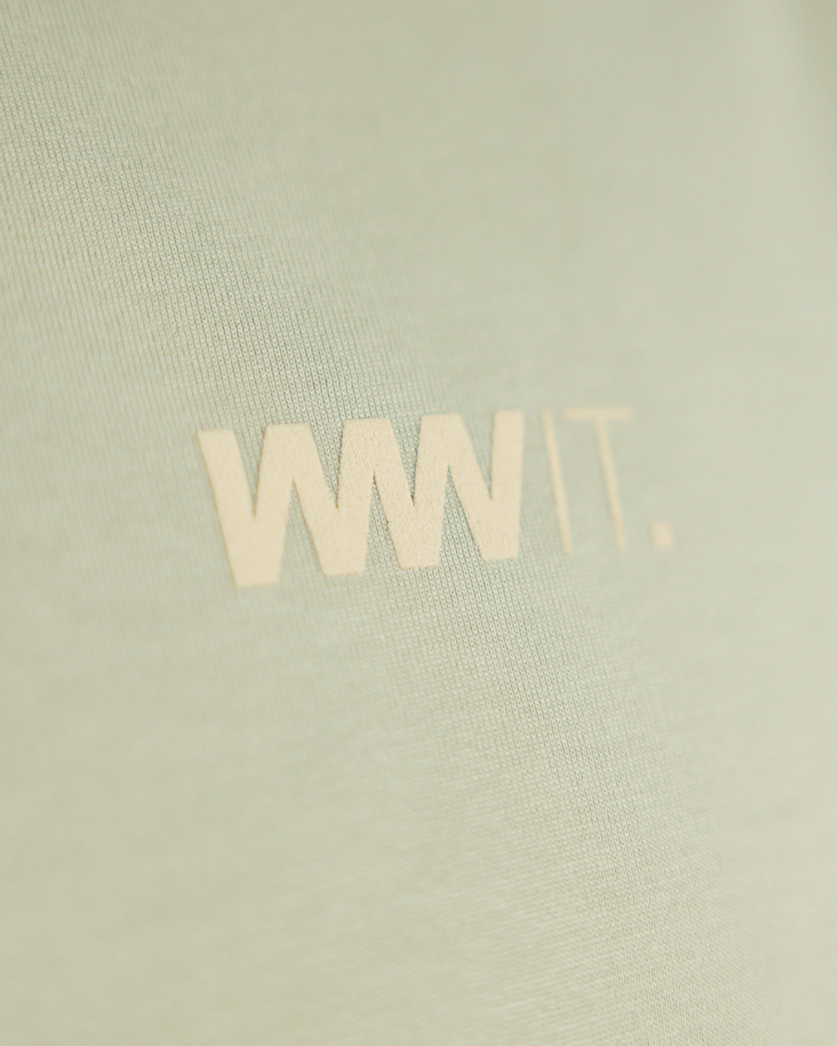 Zielony T-Shirt Basic Oversize WWIT